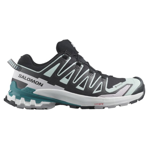 画像1: 【SALOMON】ウィメンズ　XA PRO 3D V9 GTX W (1)