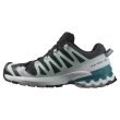 画像4: 【SALOMON】ウィメンズ　XA PRO 3D V9 GTX W (4)